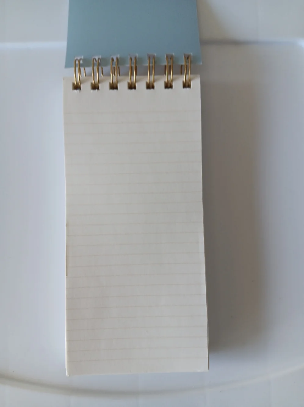Punch Studios Spiral Bound Top Flip Notebook Lined 125 Sheets Floral Ribbon Blue